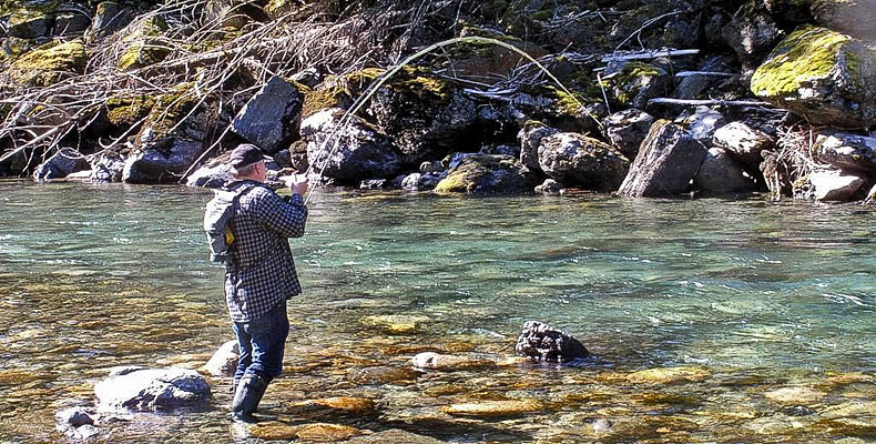 Steelhead fight, caught while fly fishing at the Coquihalla