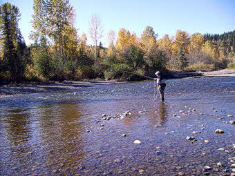 Fishing the Horsefly river for Rainbows British Columbia Canada